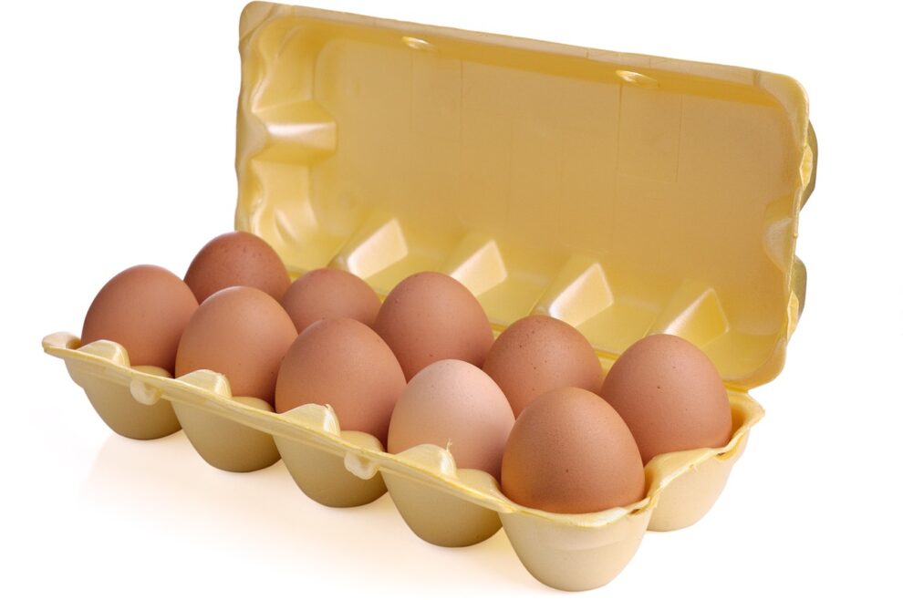 cholesterol