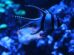 pisces