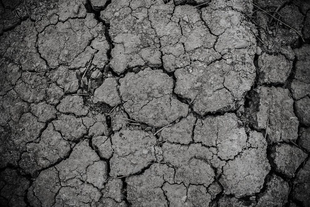 remedii naturiste pentru alergie la praf