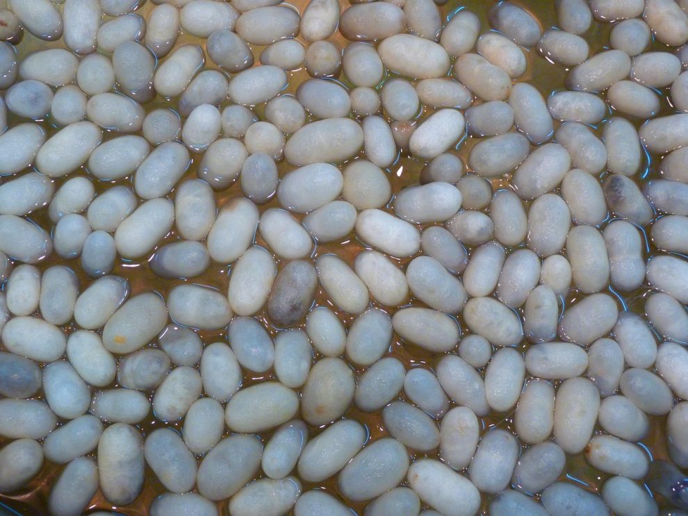 ulei de cocos contraindicatii