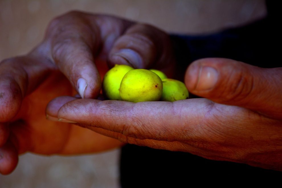 masca cu ulei de argan pentru par