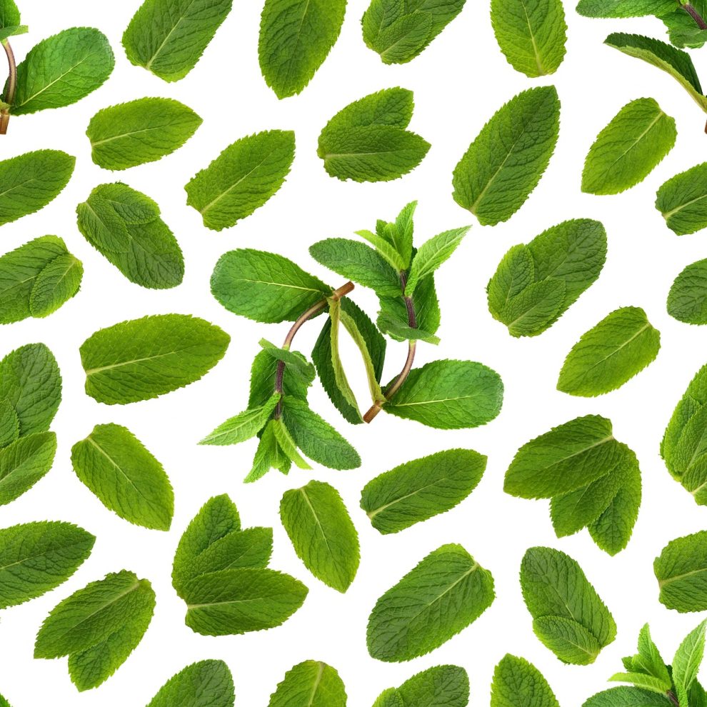 ulei de menta beneficii