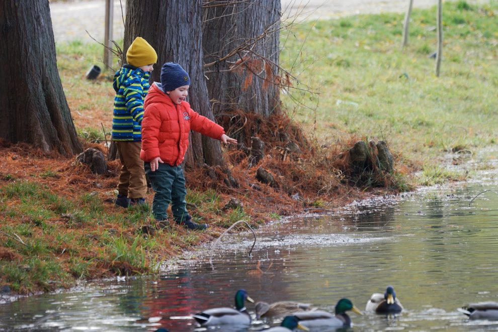 remedii naturiste pentru tuse la copii