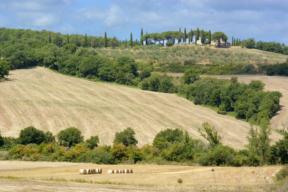 ulei chiparos