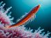 ulei de krill beneficii