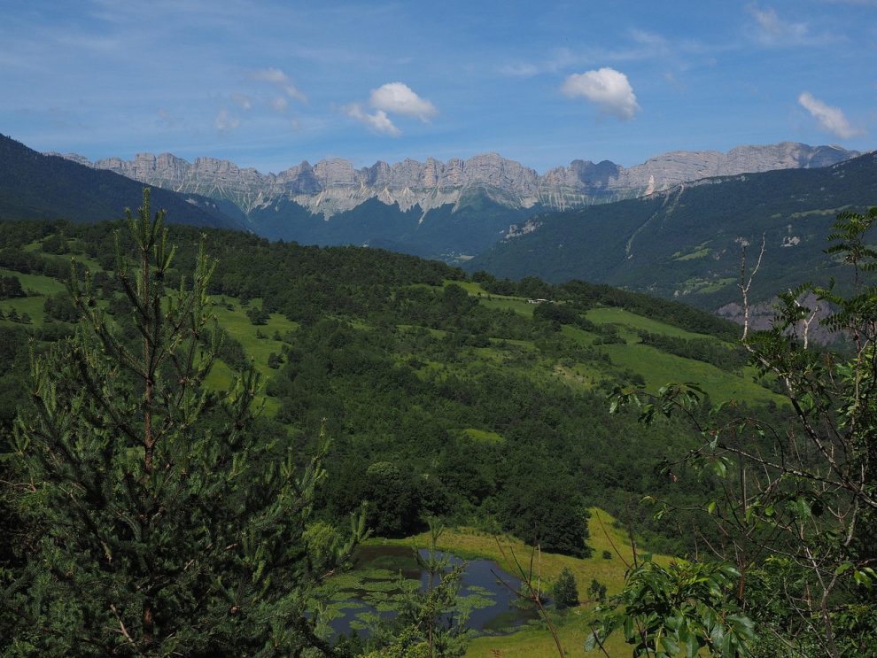 boli si remedii naturiste