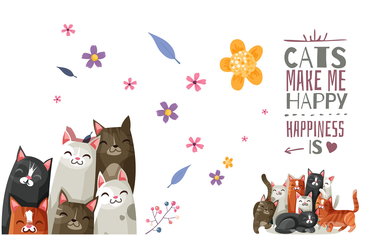 citate despre viata si oameni